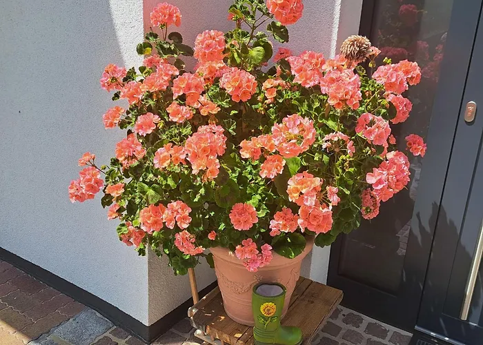 Dankl By Interhome Διαμέρισμα *